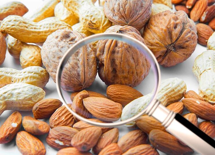 Close-up of mixed nuts, including almonds, walnuts, and peanuts, with a magnifying glass highlighting their texture and variety.