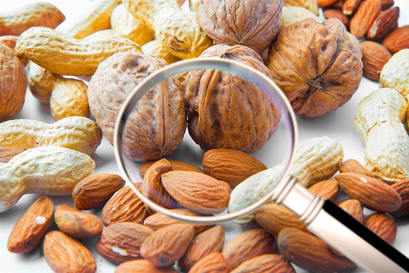 Close-up of mixed nuts, including almonds, walnuts, and peanuts, with a magnifying glass highlighting their texture and variety.